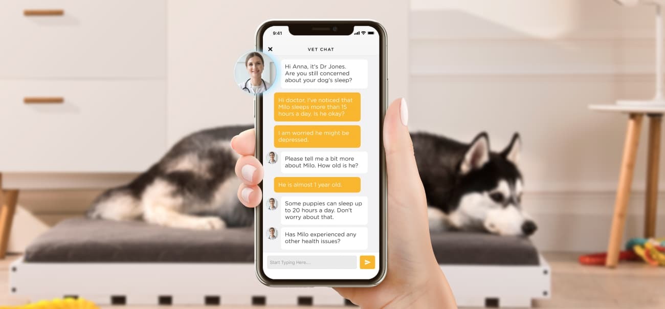 Petcube Cam live vet chat