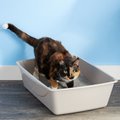 Petmate Litter Pan, Color Varies, Jumbo